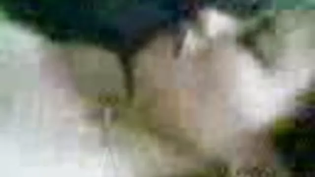 Hete porno Geen registratie  Een koerier verleiden nederlandstalige gay porno met een harig poesje.