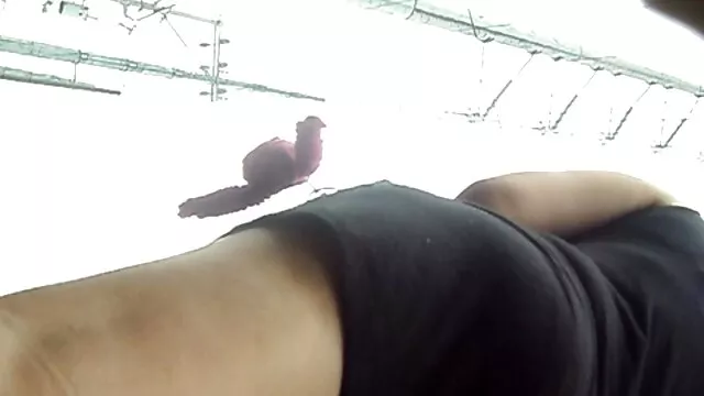 Hete porno Geen registratie  Klote vriendinnen hardepornofilm Kont.