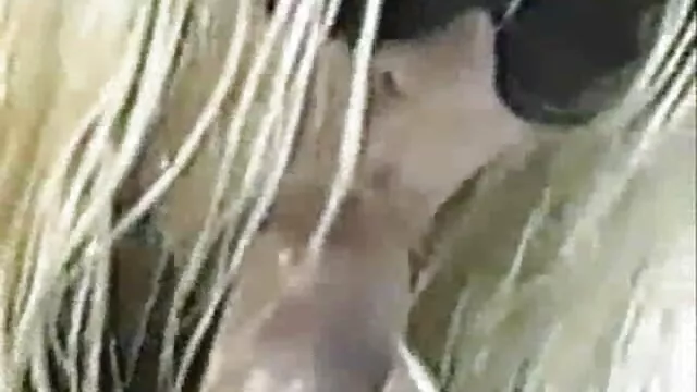 Hete porno Geen registratie  Ruig neuken in amerikaanse pornofilms de achtertuin.