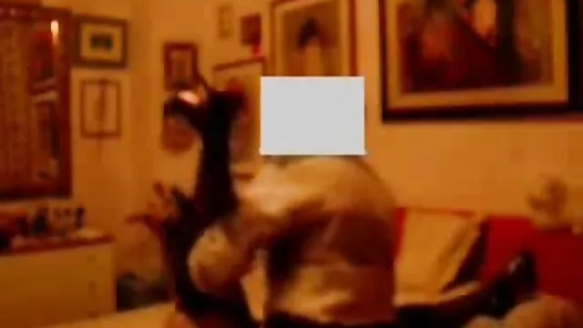 Hete porno Geen registratie  Twee blondjes neuken in hun omasexfilm kont door één man.